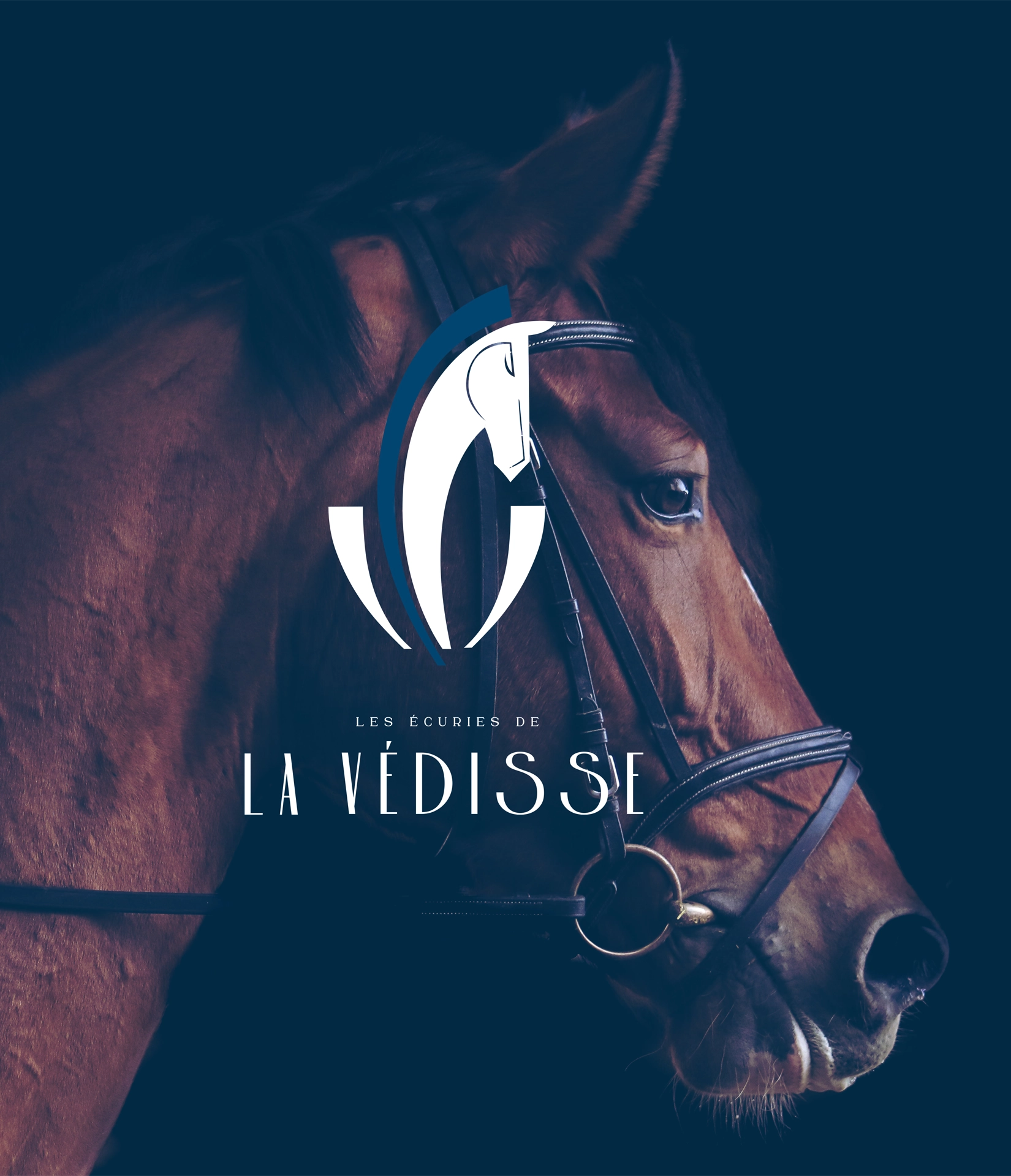 Logo pour une entreprise d'écurie